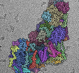 feature image