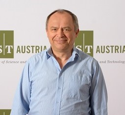 feature image