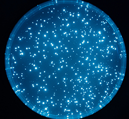 feature image