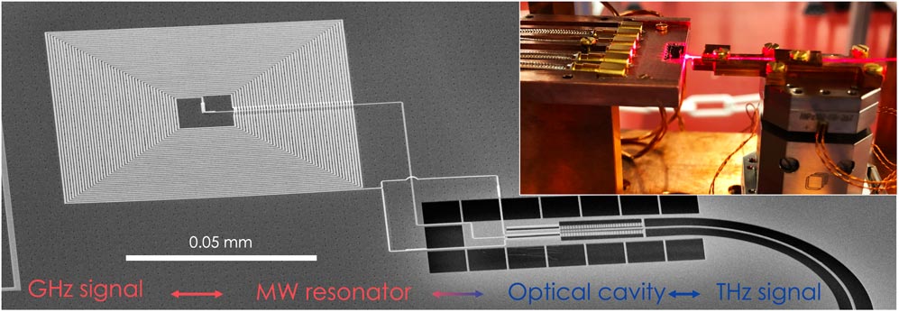 This picture shows the first on-chip integrated microwave-optics transducer based on radiation pressure, which achieves high efficiency at unprecedently low input powers. The scientists designed, fabricated, and tested a new type of hybrid device that works at ultracold temperatures. © Georg Arnold / IST Austria