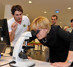 feature image