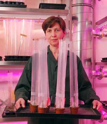 Eva Benkova, Assistant Professor at IST Austria 2014