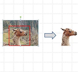 feature image