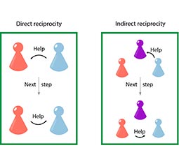 feature image