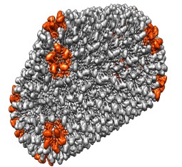 feature image