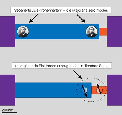 Aufbau des Nanodrahts mit kurzer und langer freiliegender Grenzzone.