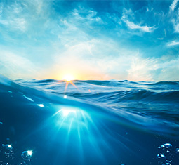 feature image
