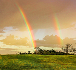 feature image