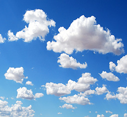 feature image