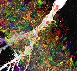 Main image for article