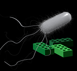 Main image for article