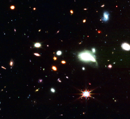 feature image