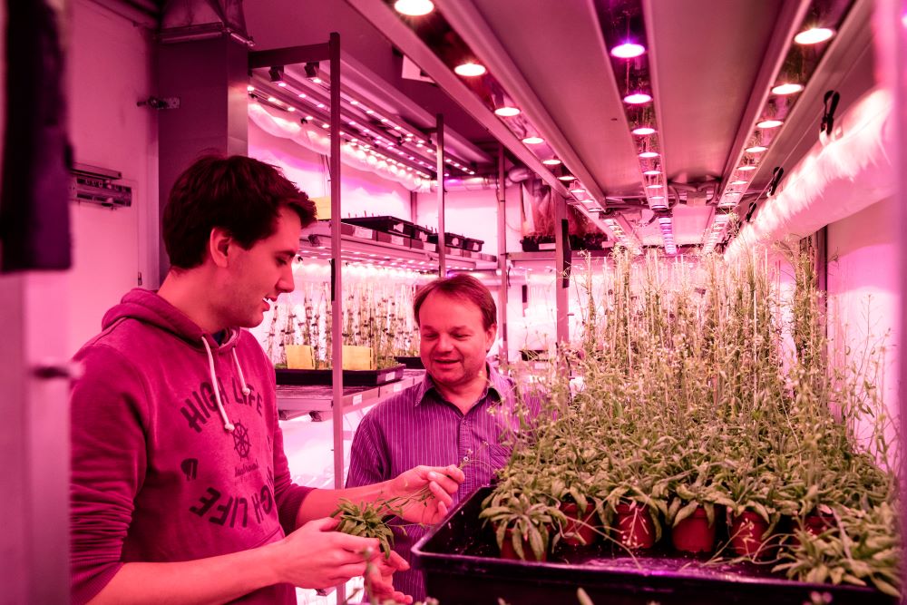 Lukas Hoermayer and Jiri Friml in ISTA Plant Facility