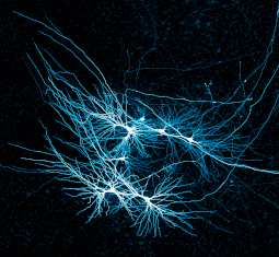 feature image