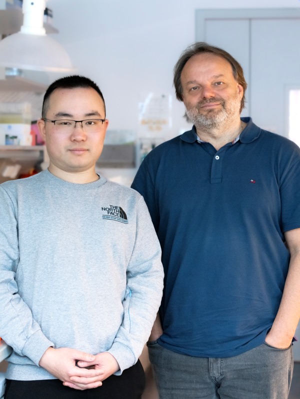 Huihuang Chen (left) and Jiři Friml (right).