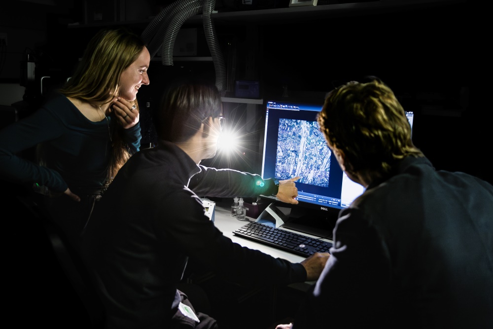 Mojtaba R. Tavakoli, Julia Lyudchik and Johann Danzl discuss a close-up image of the hippocampus.