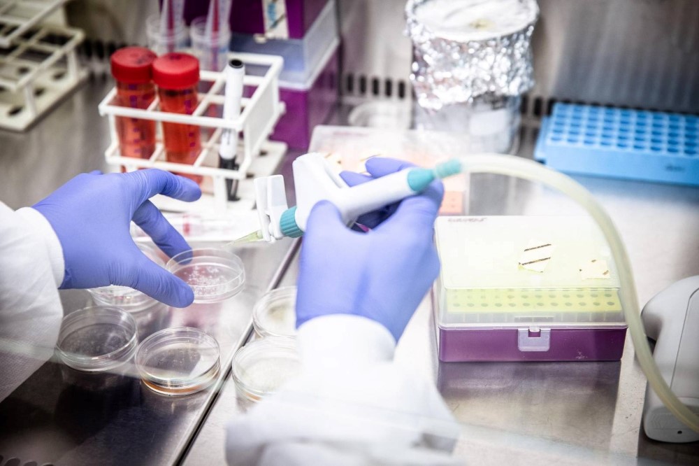 Wissenschafter:in bei der Arbeit im Labor