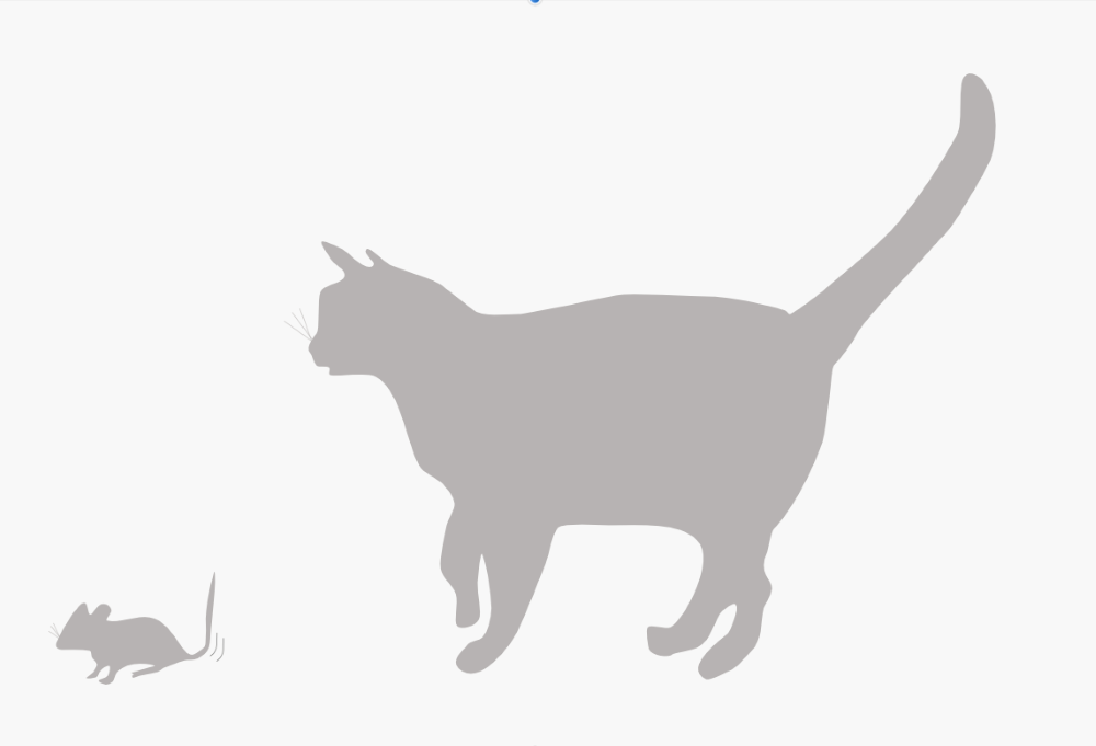 Cat and mouse.