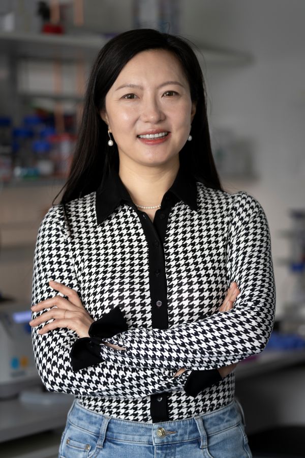 Xiaoqi Feng, Professorin am ISTA