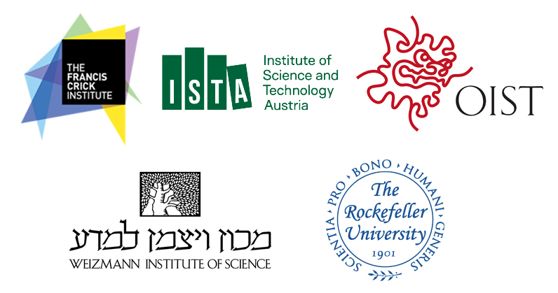 BRIDGE Institute Logos