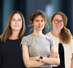 Main image for article