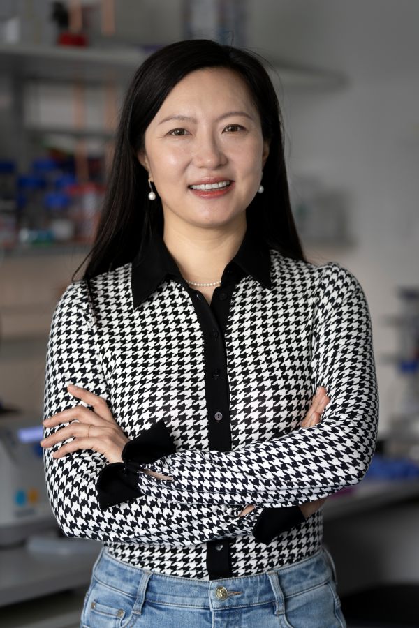 Xiaoqi Feng, professor at the Institute of Science and Technology Austria (ISTA).