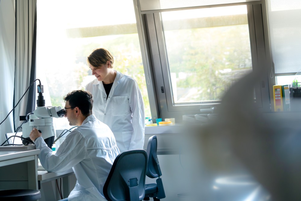 Alessandro Venturino and Sandra Siegert in the lab at ISTA.