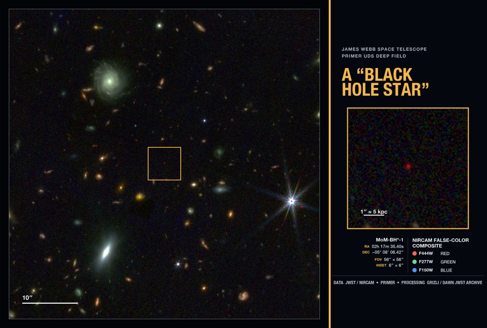The black hole star MoM-BH*-1 through the eyes of James Webb Space Telescope (JWST).